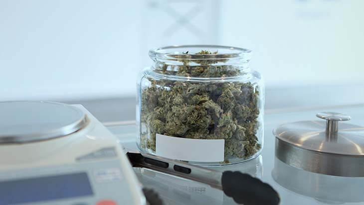medicinale canabis - beleggen in wiet marihuana