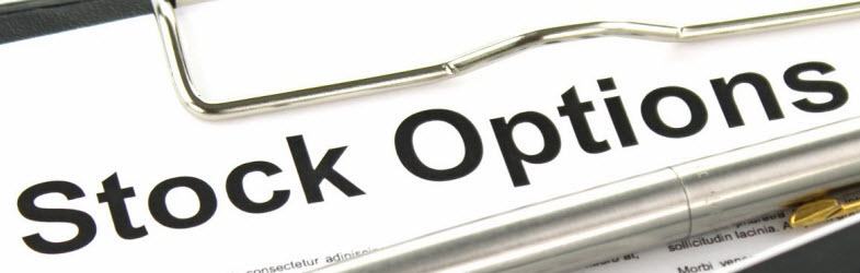 beleggingsproducten opties voorbeeld