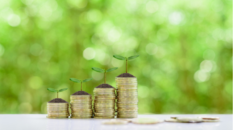 Dividend beleggen Dividend beleggen
