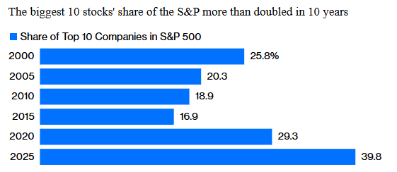 10 grootste bedrijven S&P 500 10 grootste bedrijven S&P 500